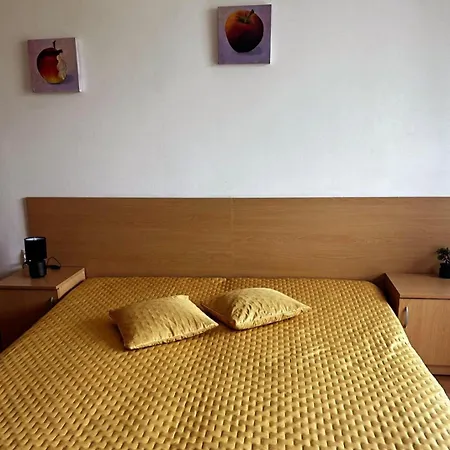 The Comfort Burgas